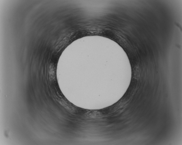 X0000103961298200809191325