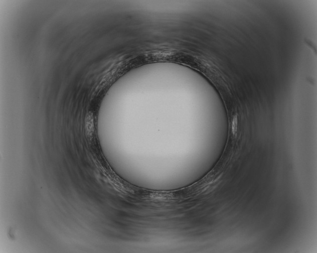 X0000103961299200809191325