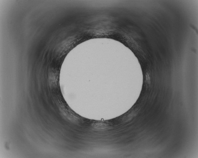 X0000103961300200809191325