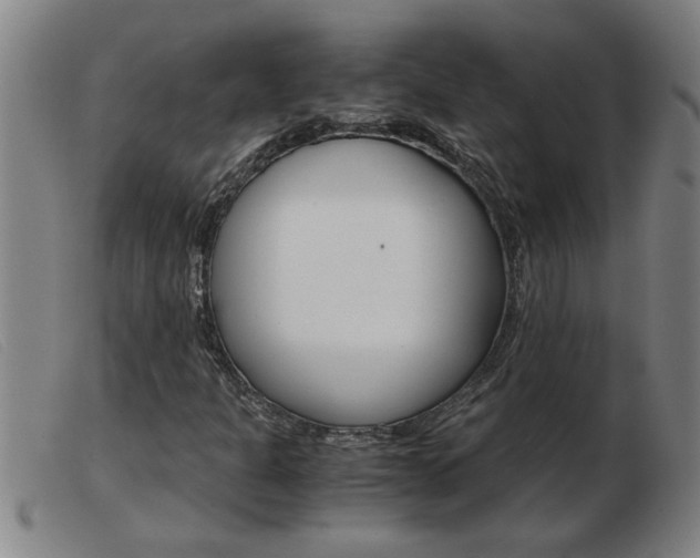 X0000103961301200809191325