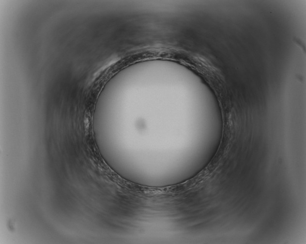 X0000103961302200809191325