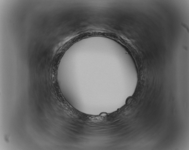 X0000103961303200809191325
