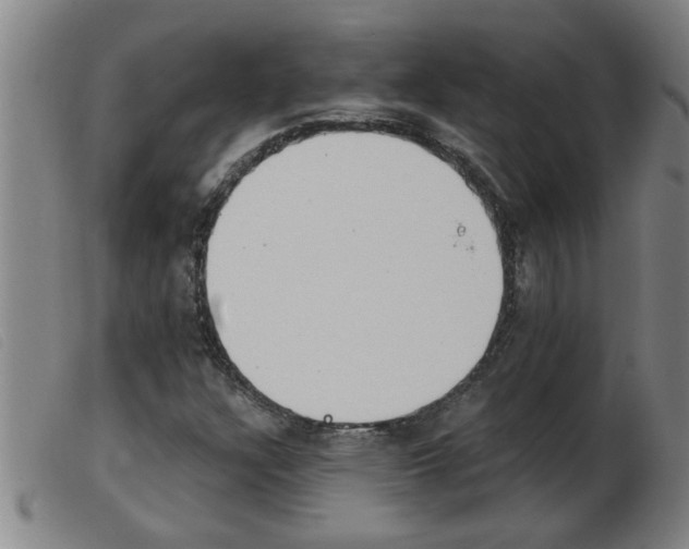 X0000103961304200809191325