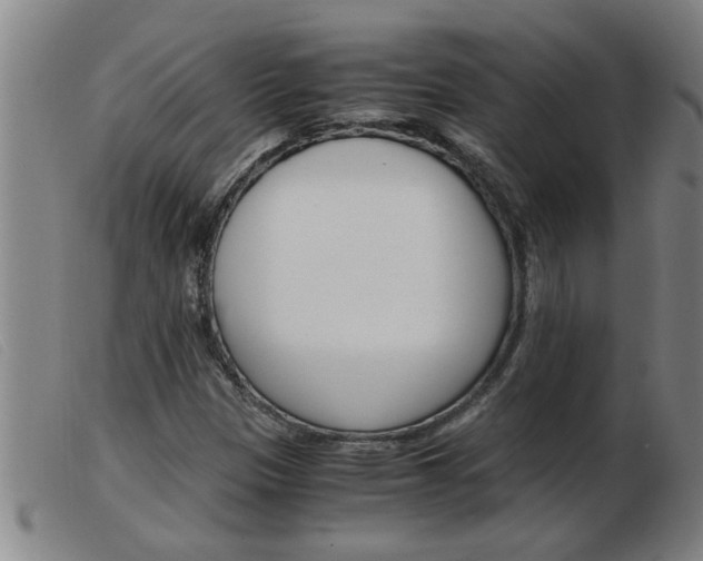 X0000103961305200809191325