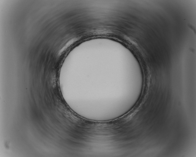 X0000103961306200809191325