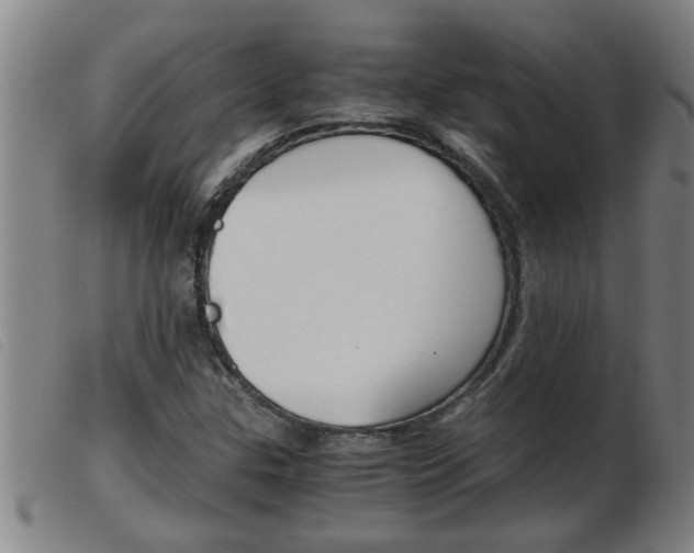 X0000103961307200809191325