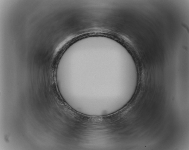 X0000103961310200809191325
