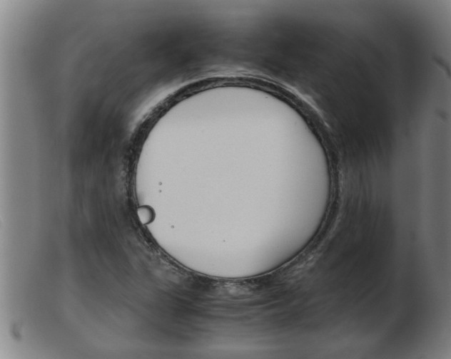 X0000103961311200809191325