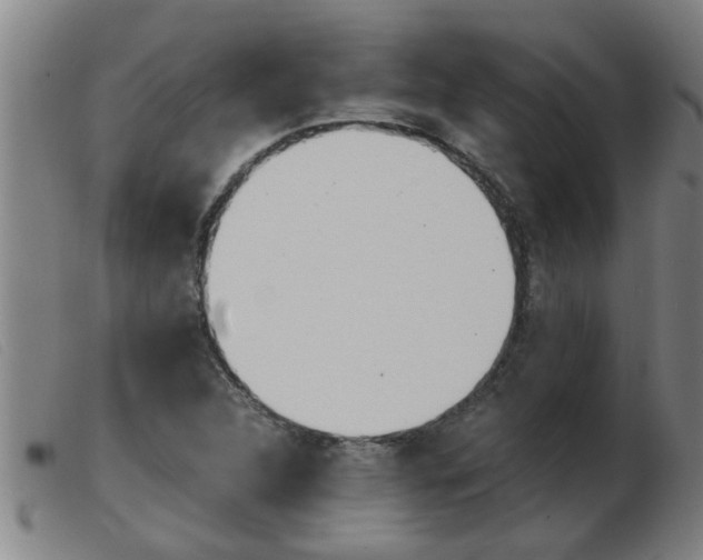 X0000103961312200809191325