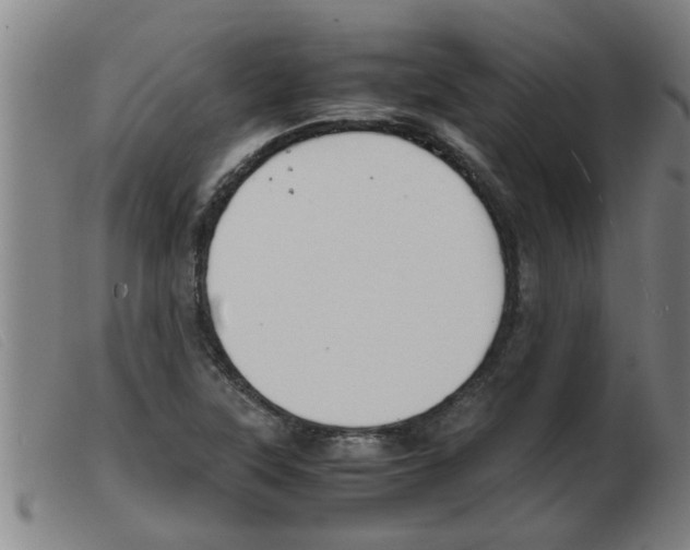 X0000103961315200809191325