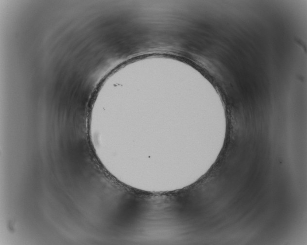 X0000103961316200809191325