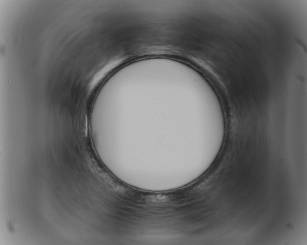 X0000103961317200809191325