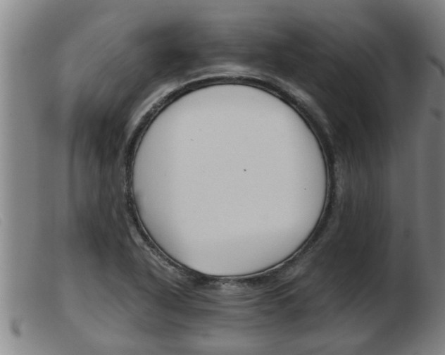 X0000103961318200809191325