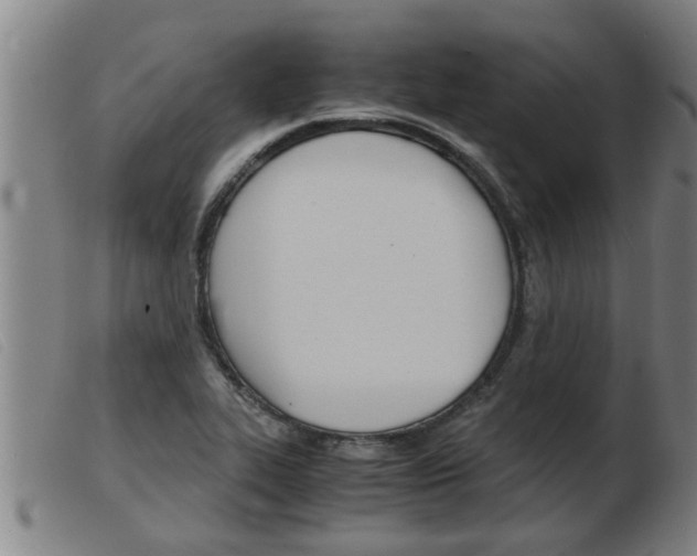 X0000103961319200809191325