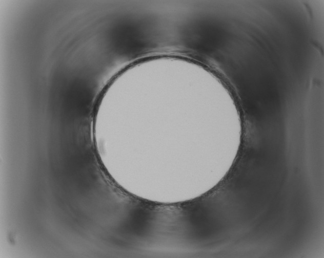 X0000103961320200809191325