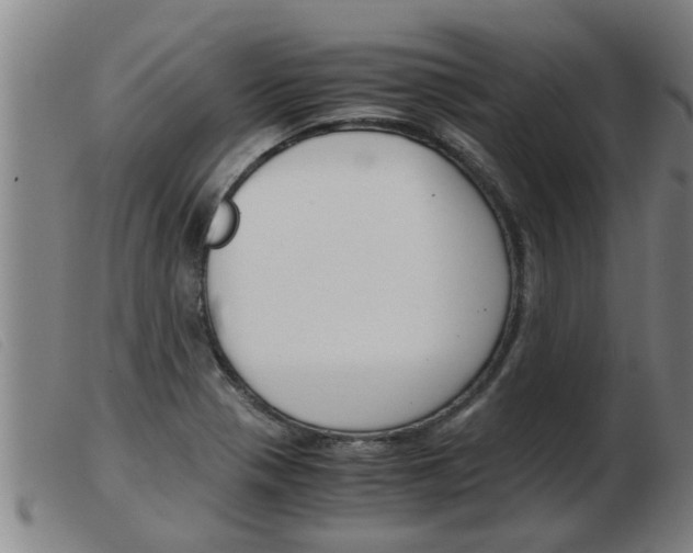 X0000103961321200809191325