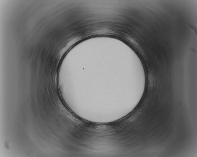 X0000103961322200809191325