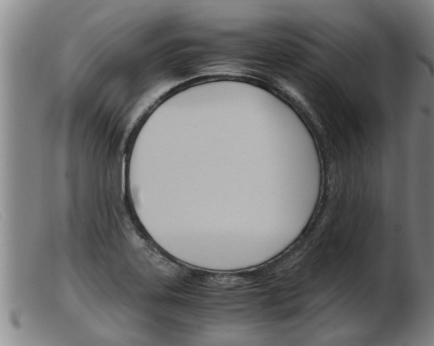 X0000103961323200809191325