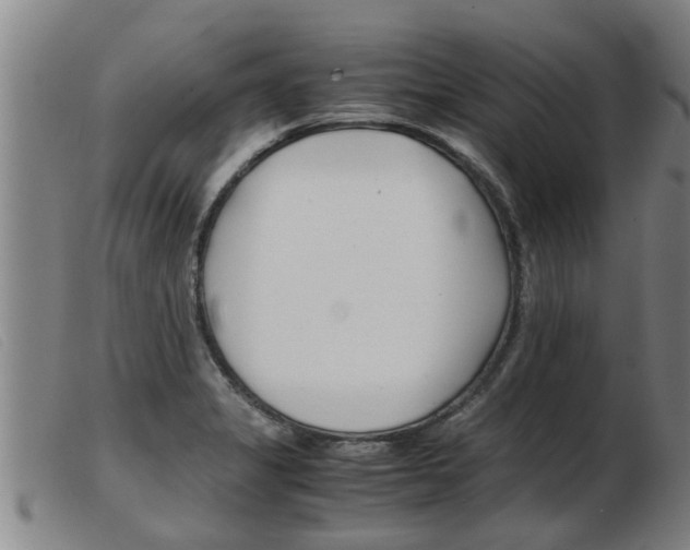 X0000103961325200809191325