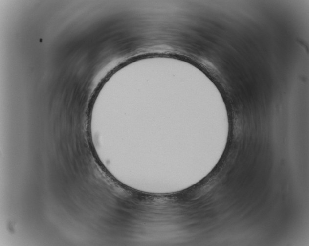 X0000103961326200809191325