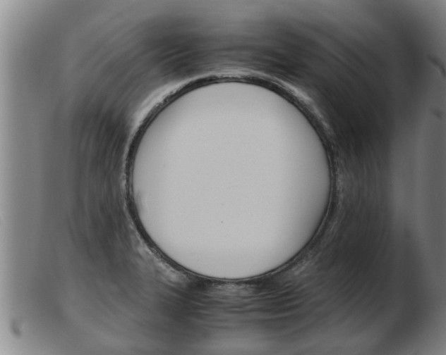 X0000103961327200809191325