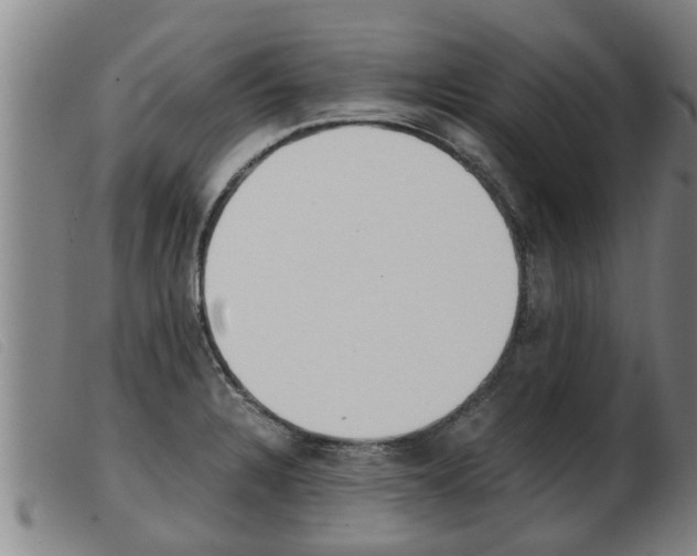 X0000103961328200809191325