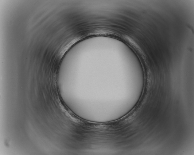 X0000103961329200809191325