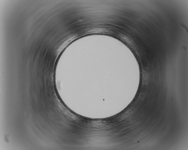 X0000103961330200809191325