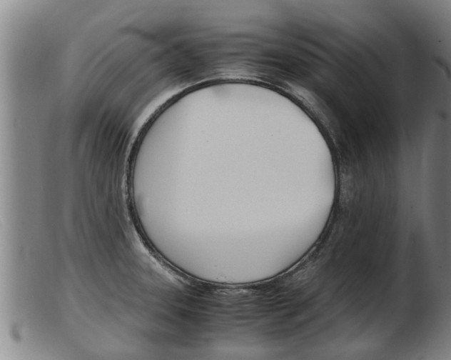 X0000103961331200809191325