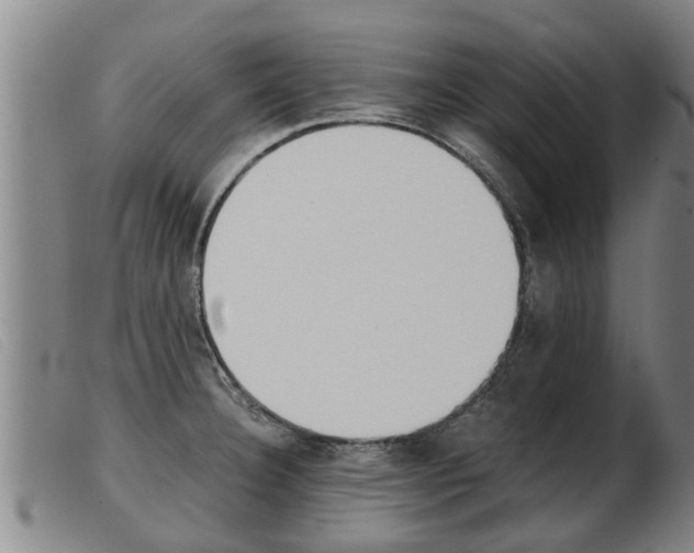 X0000103961332200809191325