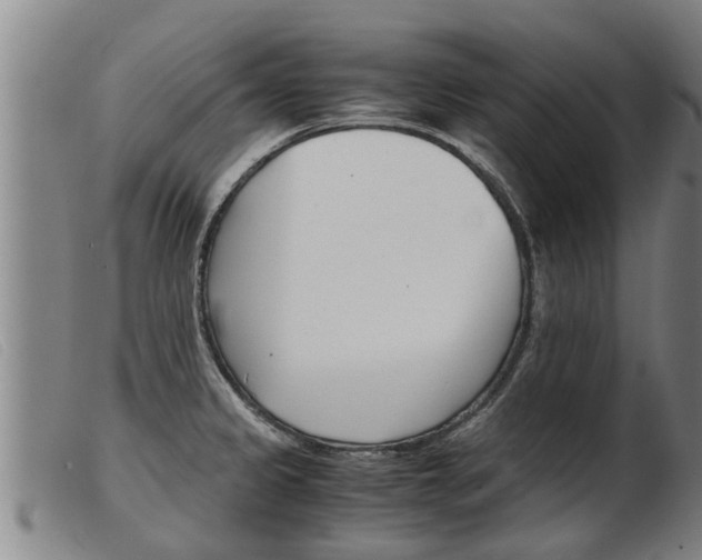 X0000103961333200809191325