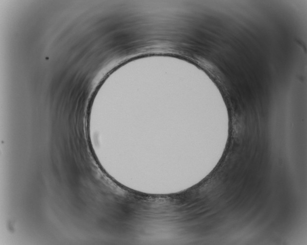 X0000103961334200809191325