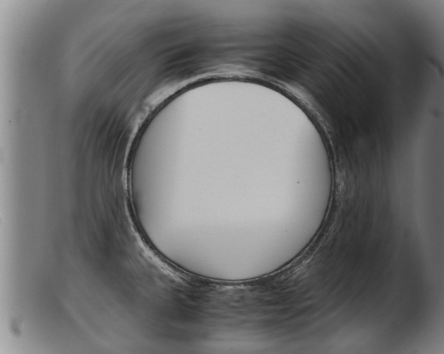 X0000103961335200809191325