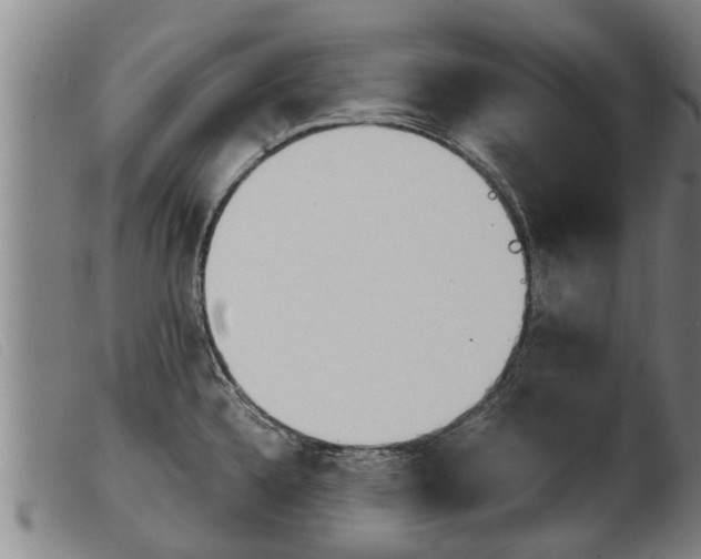 X0000103961336200809191325