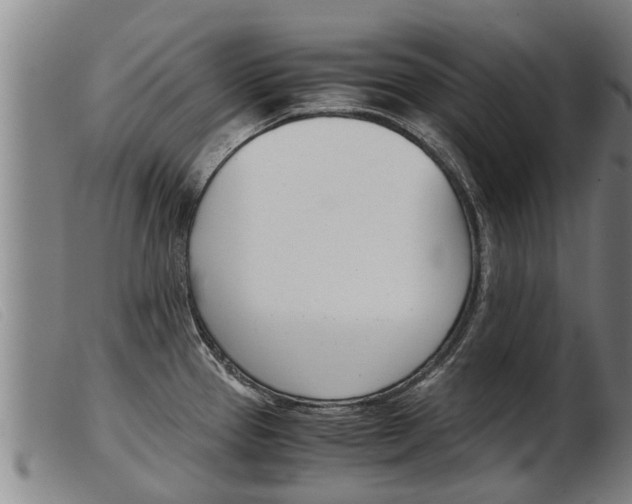 X0000103961337200809191325