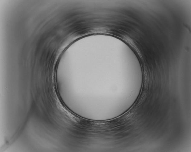 X0000103961339200809191325