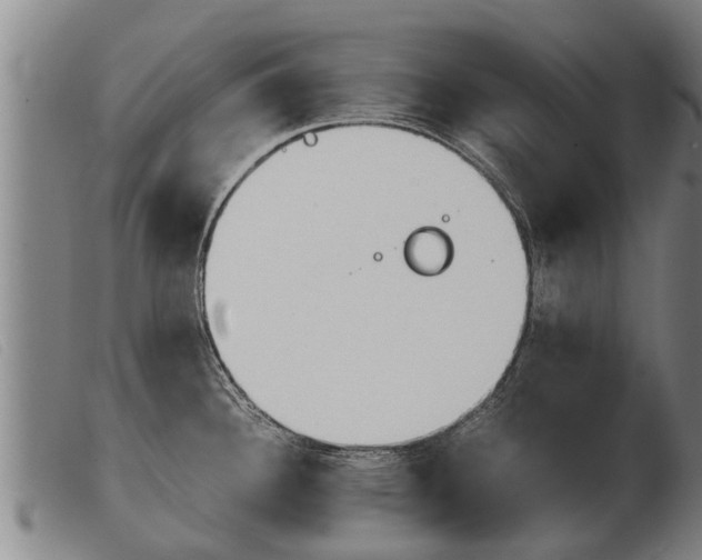 X0000103961340200809191325