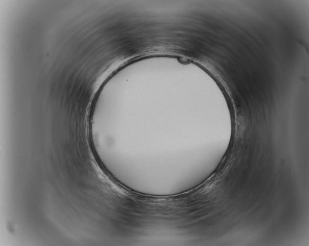 X0000103961341200809191325