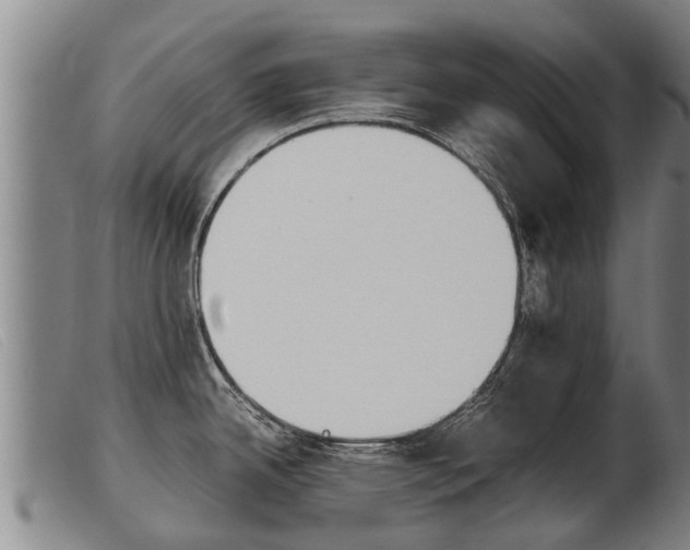 X0000103961342200809191325