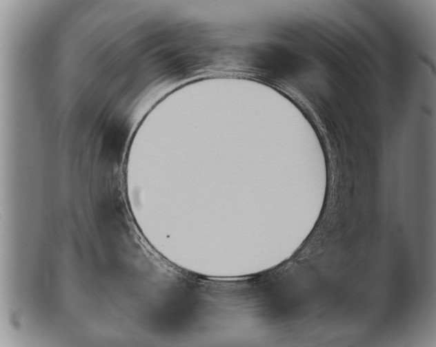 X0000103961344200809191326
