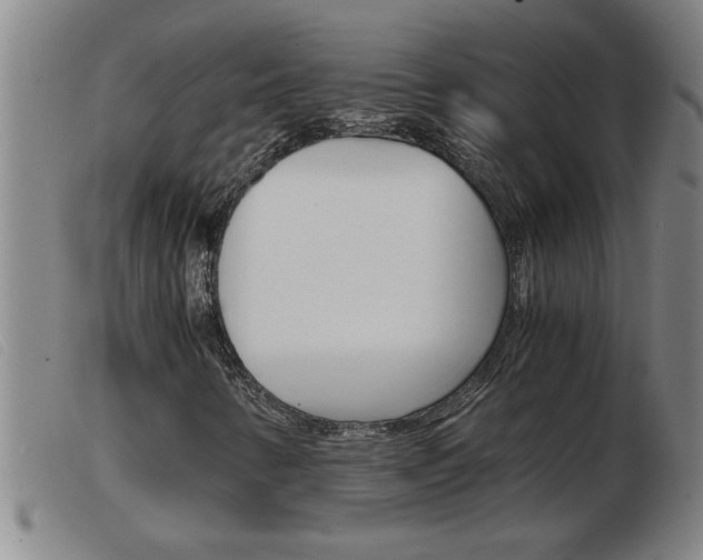 X0000103961346200809191325