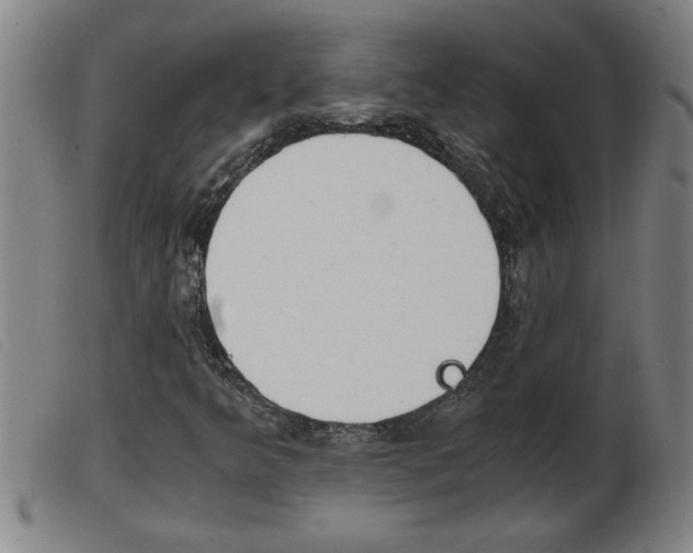 X0000103961349200809191325