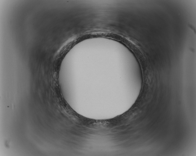 X0000103961351200809191325