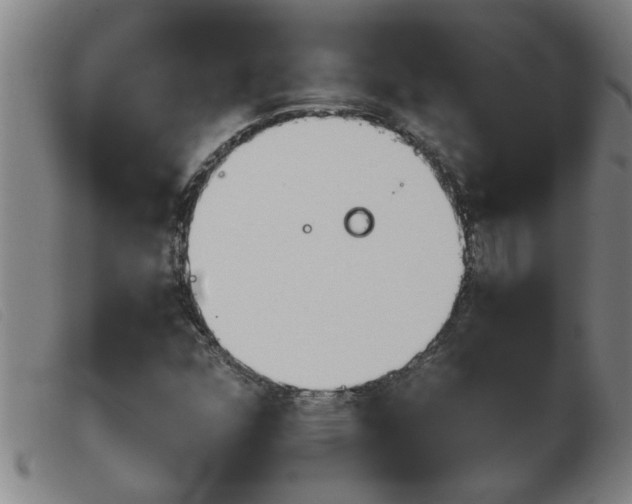 X0000103961352200809191325