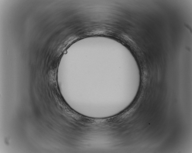 X0000103961353200809191325