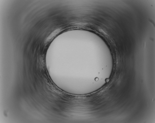 X0000103961354200809191325