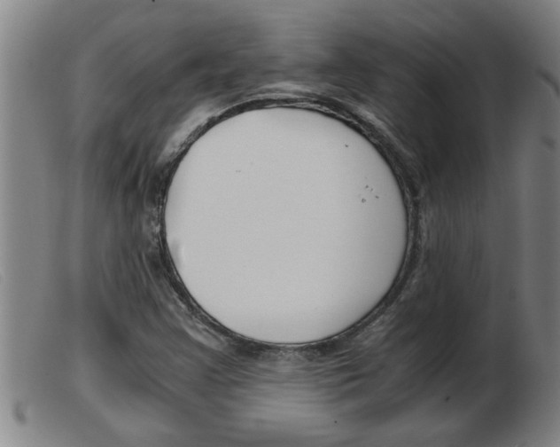 X0000103961355200809191325