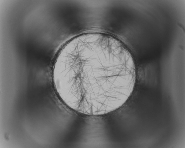 X0000103961356200809191325