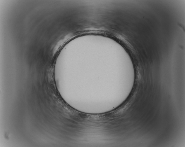 X0000103961357200809191325
