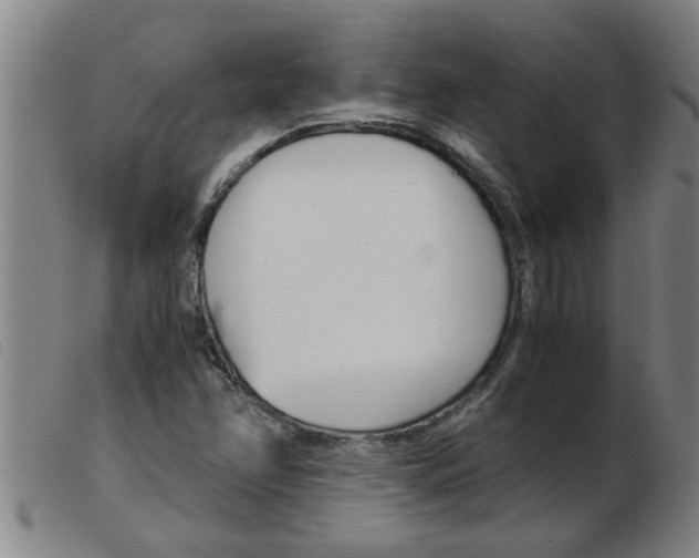 X0000103961358200809191325